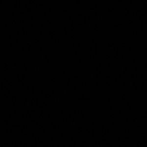 Meet your Posher, Denali